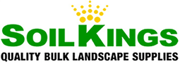 Logo in the footer
