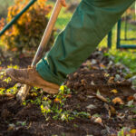 Spring Landscaping
