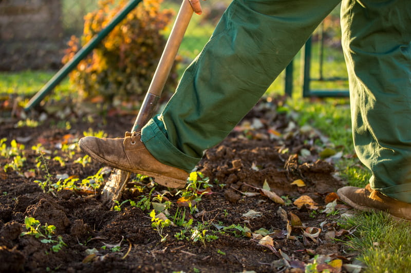 Spring Landscaping