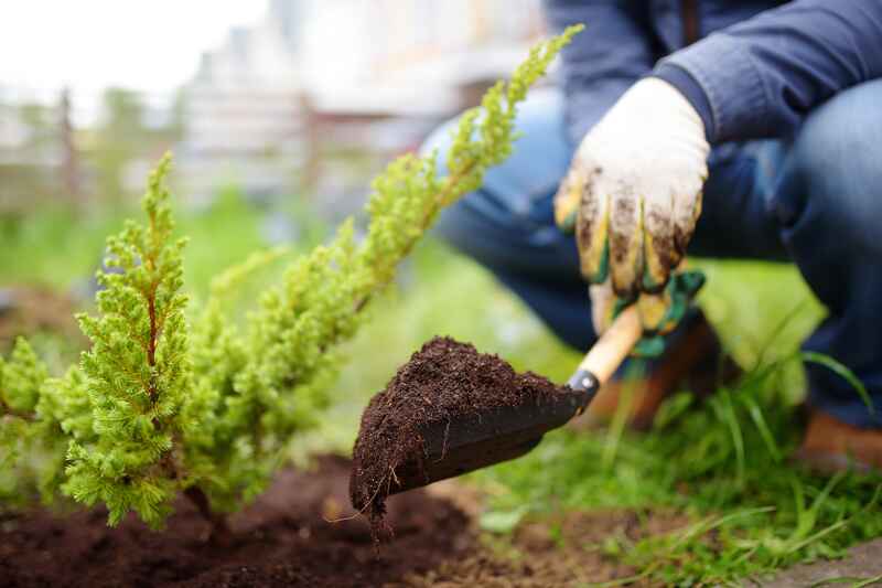 Landscape Yard from Scratch