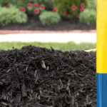 Spring Rules for Mulching Your Garden
