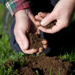 Guide to Different Soil Types