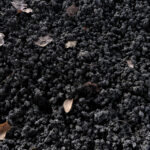 Add Worm Castings to Your Garden