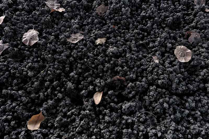 Add Worm Castings to Your Garden
