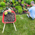 Favourite Landscaping Trends