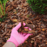 Keep Your Garden Healthy