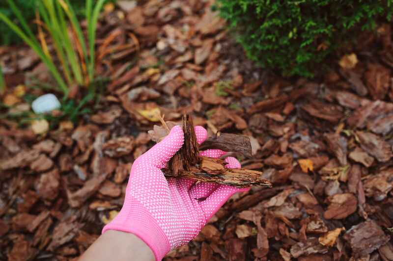 Keep Your Garden Healthy