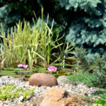 The Best Decorative Rocks