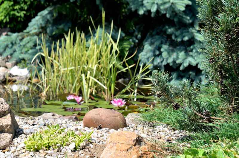 The Best Decorative Rocks