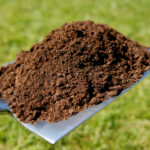 Aged Compost