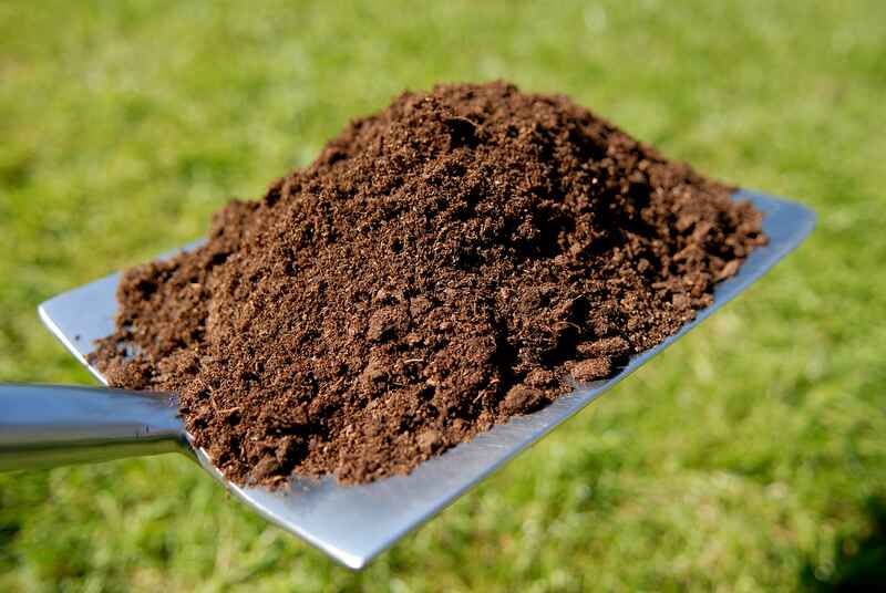 Aged Compost