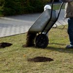 Top-Dressing Your Lawn