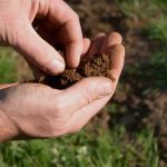 Improving your Soil Quality