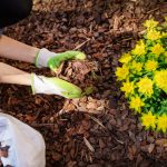 Unique Mulch