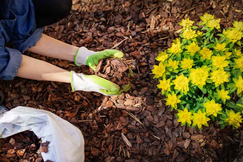 Unique Mulch