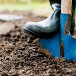 Save Money Landscaping