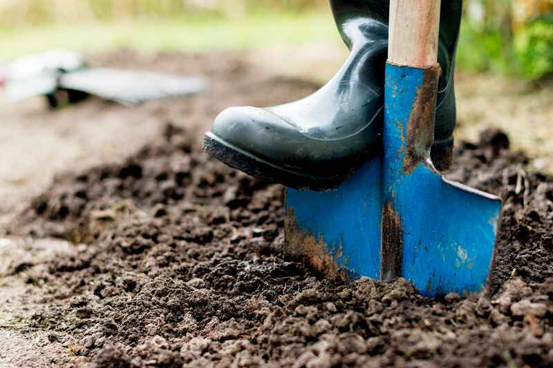 Save Money Landscaping