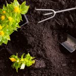 Buying Bulk Landscape Supplies