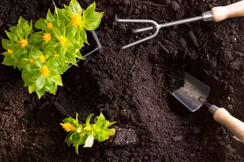 Buying Bulk Landscape Supplies