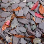 Fall Hardscaping