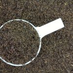 Worm castings in a cup on top of more worm castings