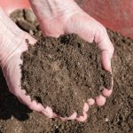 Person adding adding screened topsoil to lawn using their hands