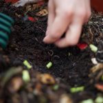 Close up of persons hand doing a DIY Composting