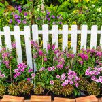 The Basics of Planting a Garden
