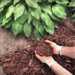 Mulch Materials