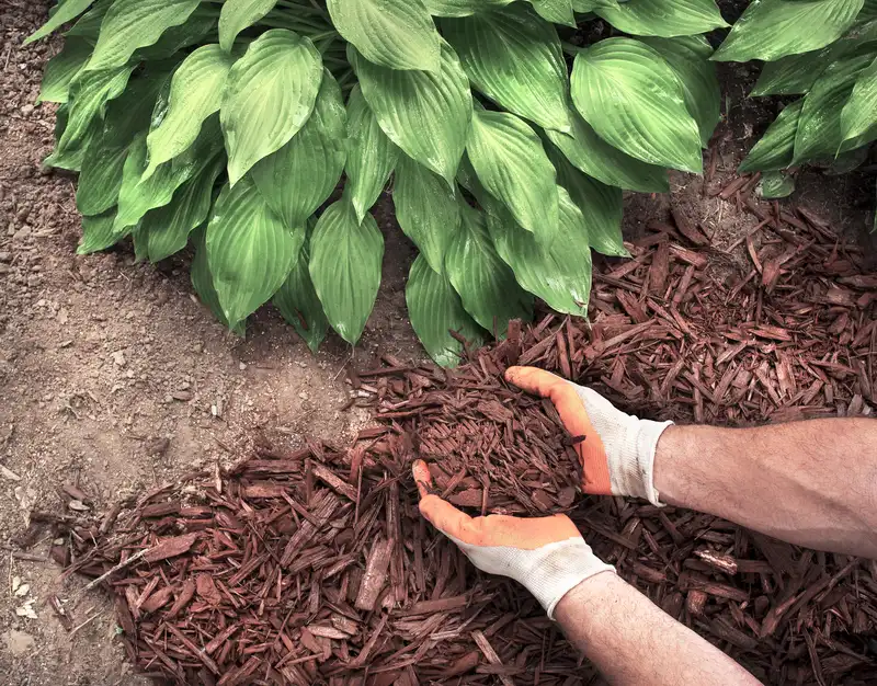 Mulch Materials