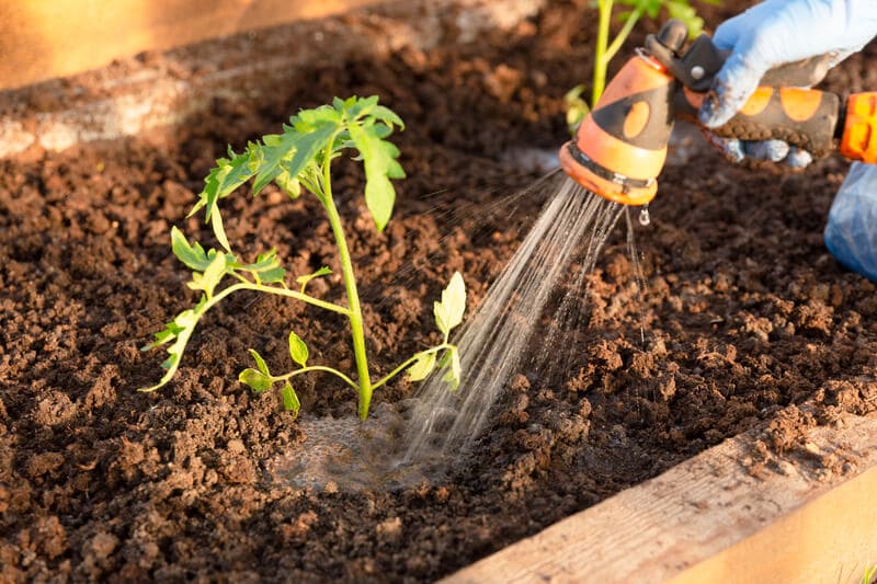 Benefits of Organic Gardening