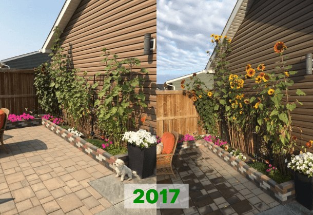Photo 2017