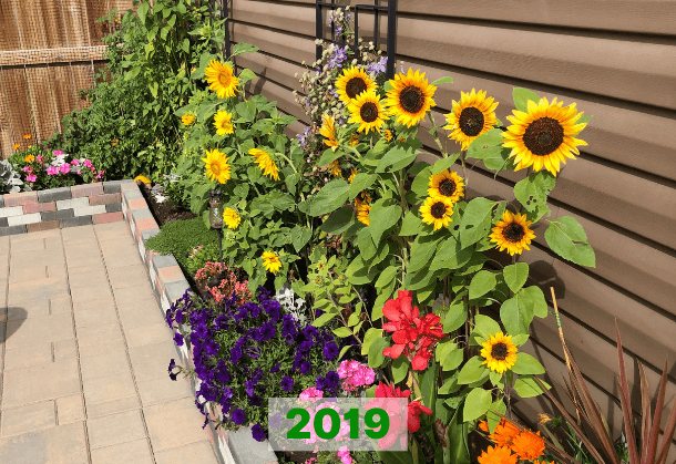 Photo 2019
