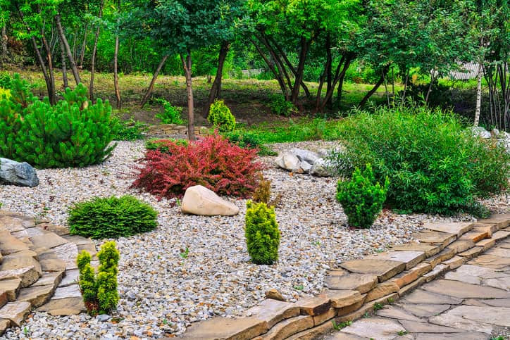 Rock garden design