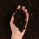 Storing and Using Screened Topsoil