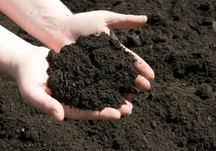 Screened Topsoil