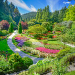 Landscaping of different plant species is a trend in 2024.