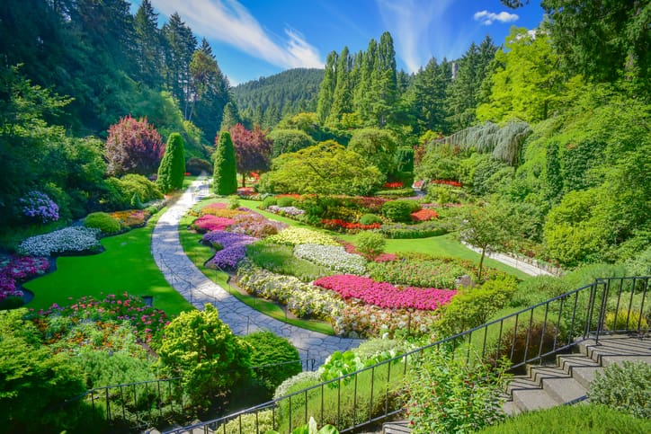 Landscaping of different plant species is a trend in 2024.