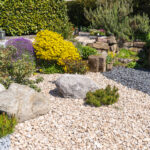 A different types of limestone with big rocks and flowers