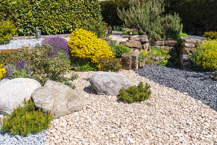 A different types of limestone with big rocks and flowers