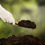 A hand testing the texture of garden soil.