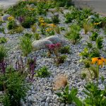 Using rocks effectively in the garden to prevent soil erosion.