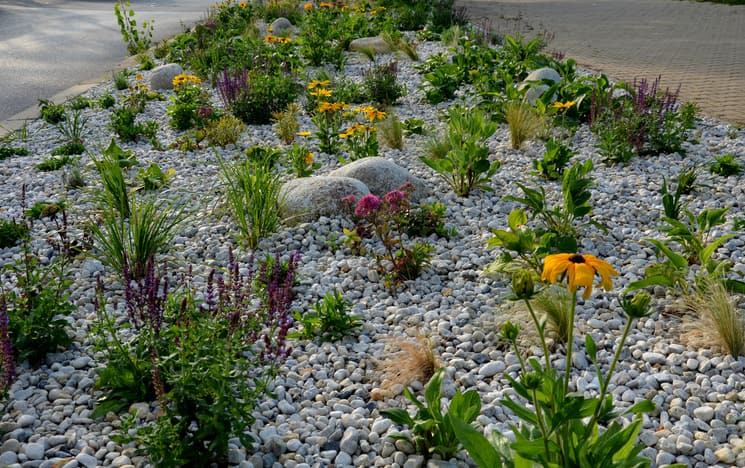 Using rocks effectively in the garden to prevent soil erosion.