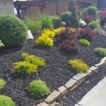 In the comparison of limestone and rundle rock, rundle rock is used as decorative mulch in the garden to enhance its vibrant appearance.