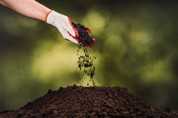 Close-up of a hand holding fertile soil, symbolizing plant growth in different soil types as the foundation of plant growth and healthy development.